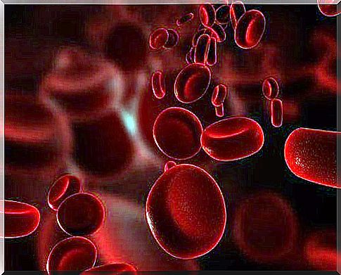 Blood cells