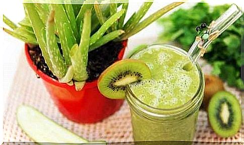 Kiwi smoothie