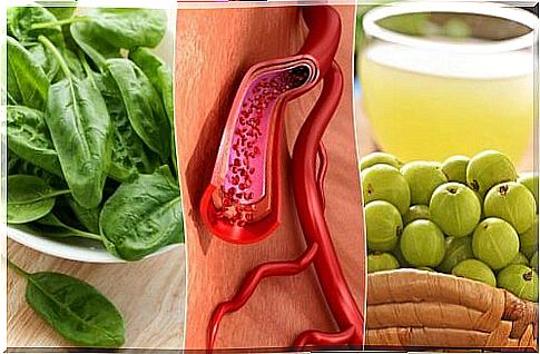 5 foods for healthier blood and a happy body