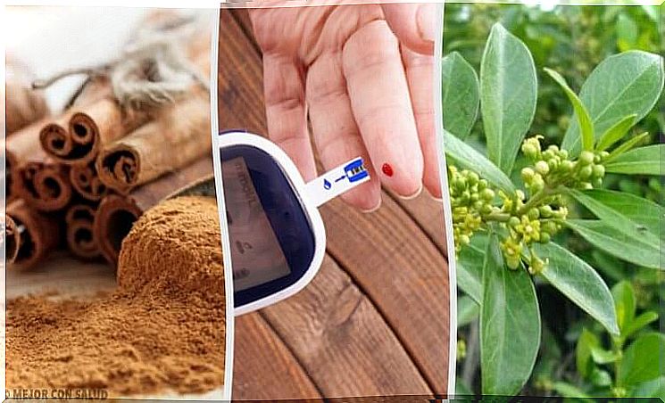 5 plants for a stable blood sugar