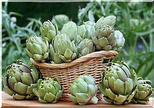 artichoke facts