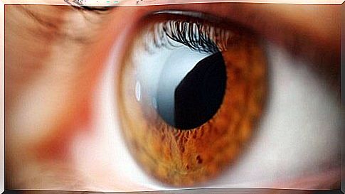 6 tips to improve your vision naturally and without surgery