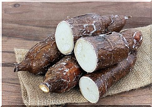 Yucca is a powerful digestive aid