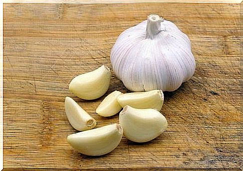 Garlic