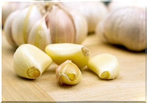 Garlic