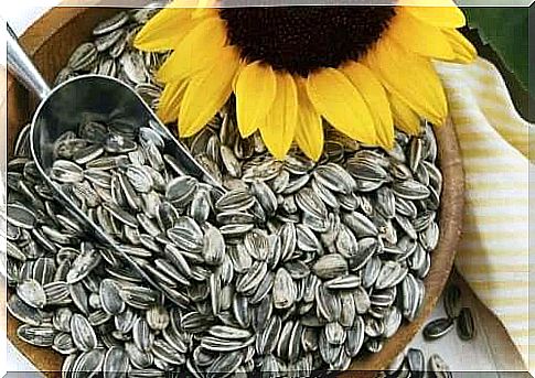 Sunflower seeds in a bowl