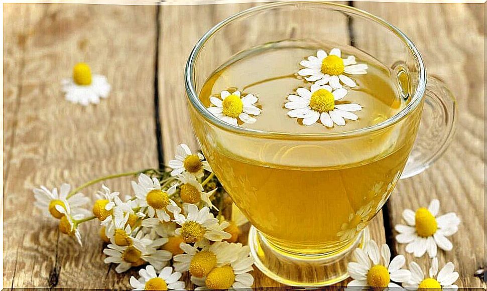 chamomile tea