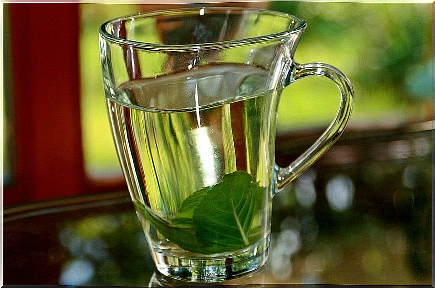 calm your anxiety with basil tea