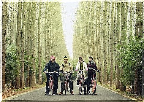 Family on bicycles