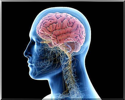 Illustration of encephalitis