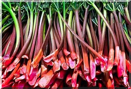 Rhubarb is in a pile