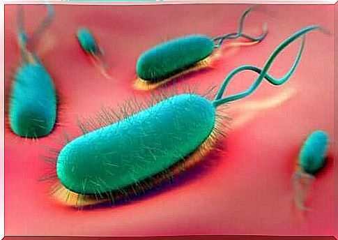 H. pylori can cause stomach ulcers