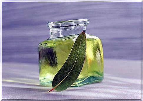 Eucalyptus oil