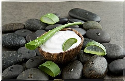 Coconut milk and aloe vera cream