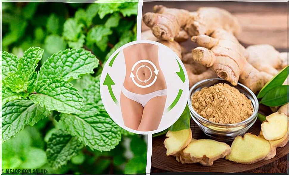 Mint and ginger drink that activates your metabolism