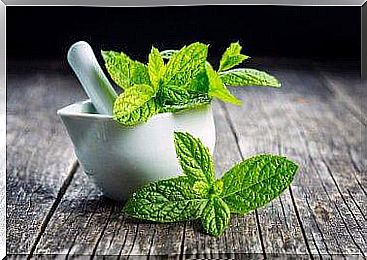 Mint in bowl