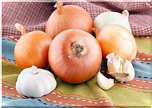 onion