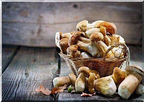 The five best medicinal mushrooms according to science