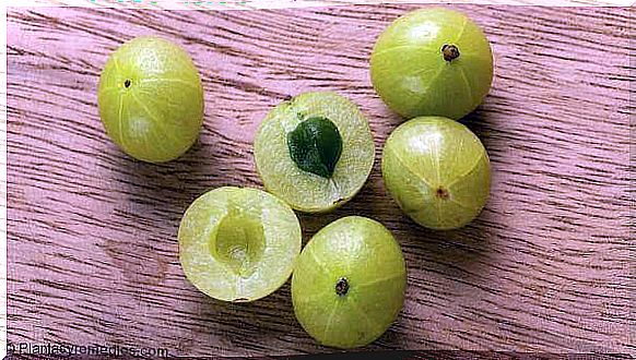 Gooseberries - I have fatty liver